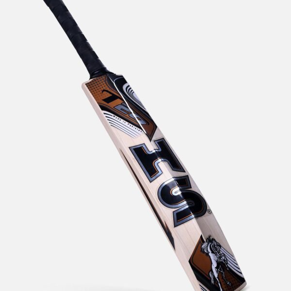 20200118093457426668451 HS T20 Dasports avenue Bats