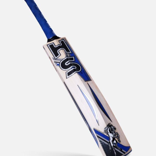 20200118093947525462487 HS 3 Star Dasports avenue Bats