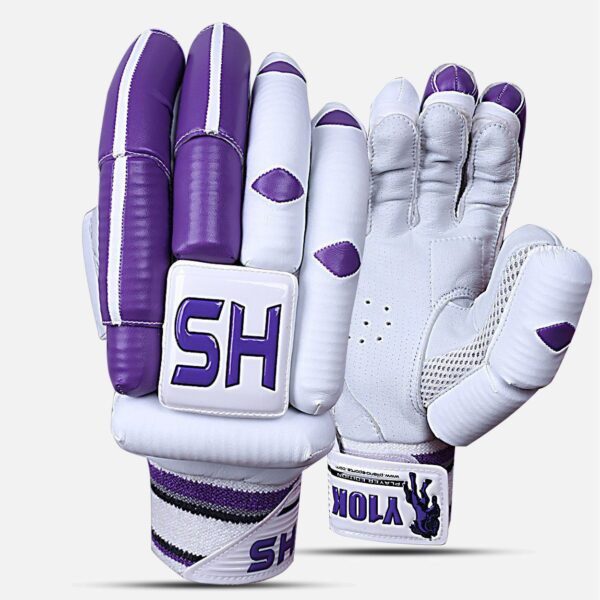 202001200931231328506121 1 HS Y10K Dasports avenue Batting Equipment