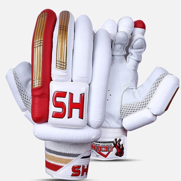 202001200934071338193871 HS Icon Dasports avenue Batting Equipment