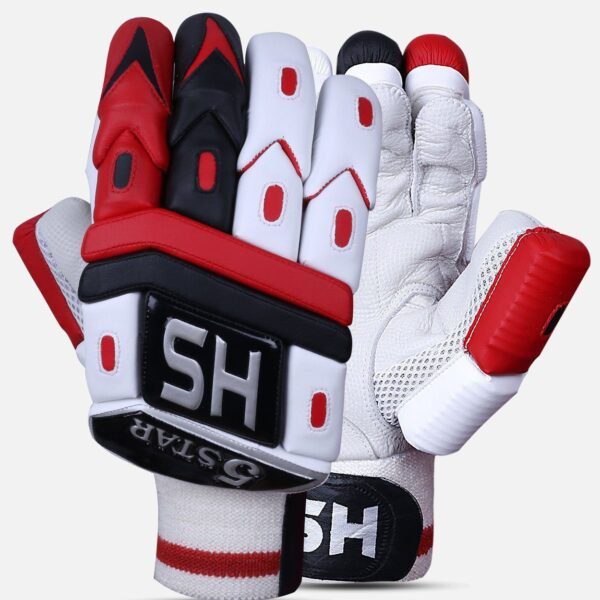 202001200954261980762534 HS 5 Star Dasports avenue Batting Equipment