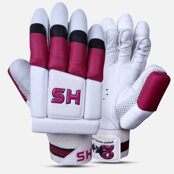 202001201008522054970155 HS 2 Star Dasports avenue Batting Equipment