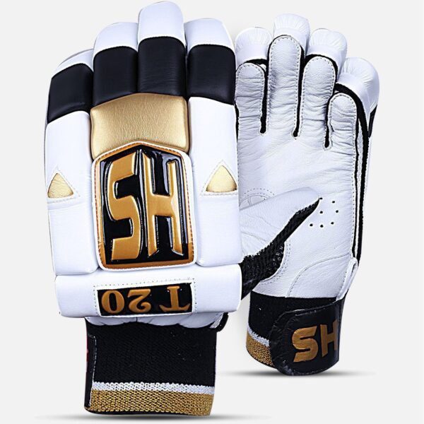 202001201013041048614187 HS T20 Dasports avenue Batting Equipment