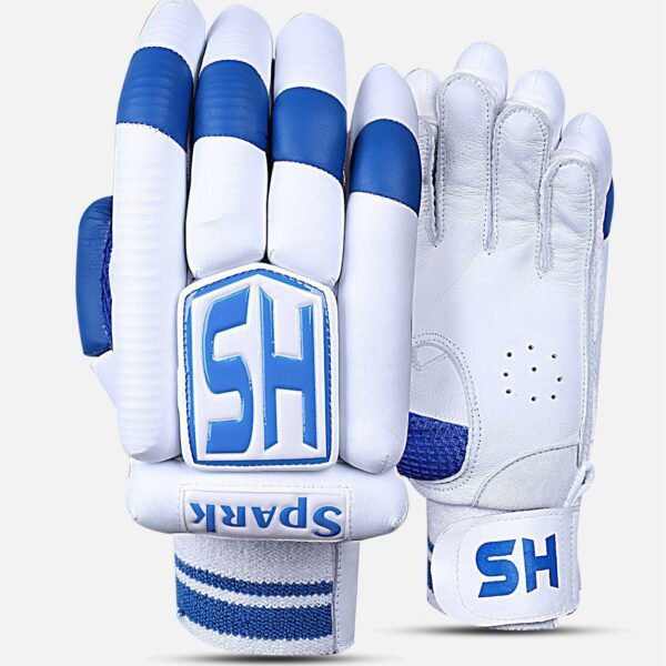 202001201016391541374780 HS Spark Dasports avenue Batting Equipment