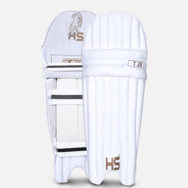 202001311229281215403026 HS T20 Dasports avenue Batting Equipment