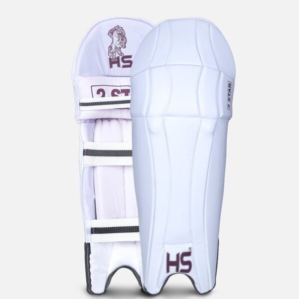 20200131123211262447288 HS 2 Star Dasports avenue Batting Equipment