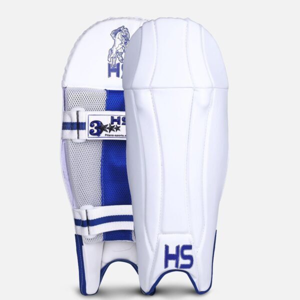 202001311238081294908859 HS 3 Star Dasports avenue Batting Equipment