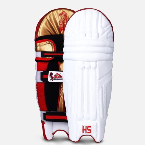 20200131124718509827397 HS Icon Dasports avenue Batting Equipment