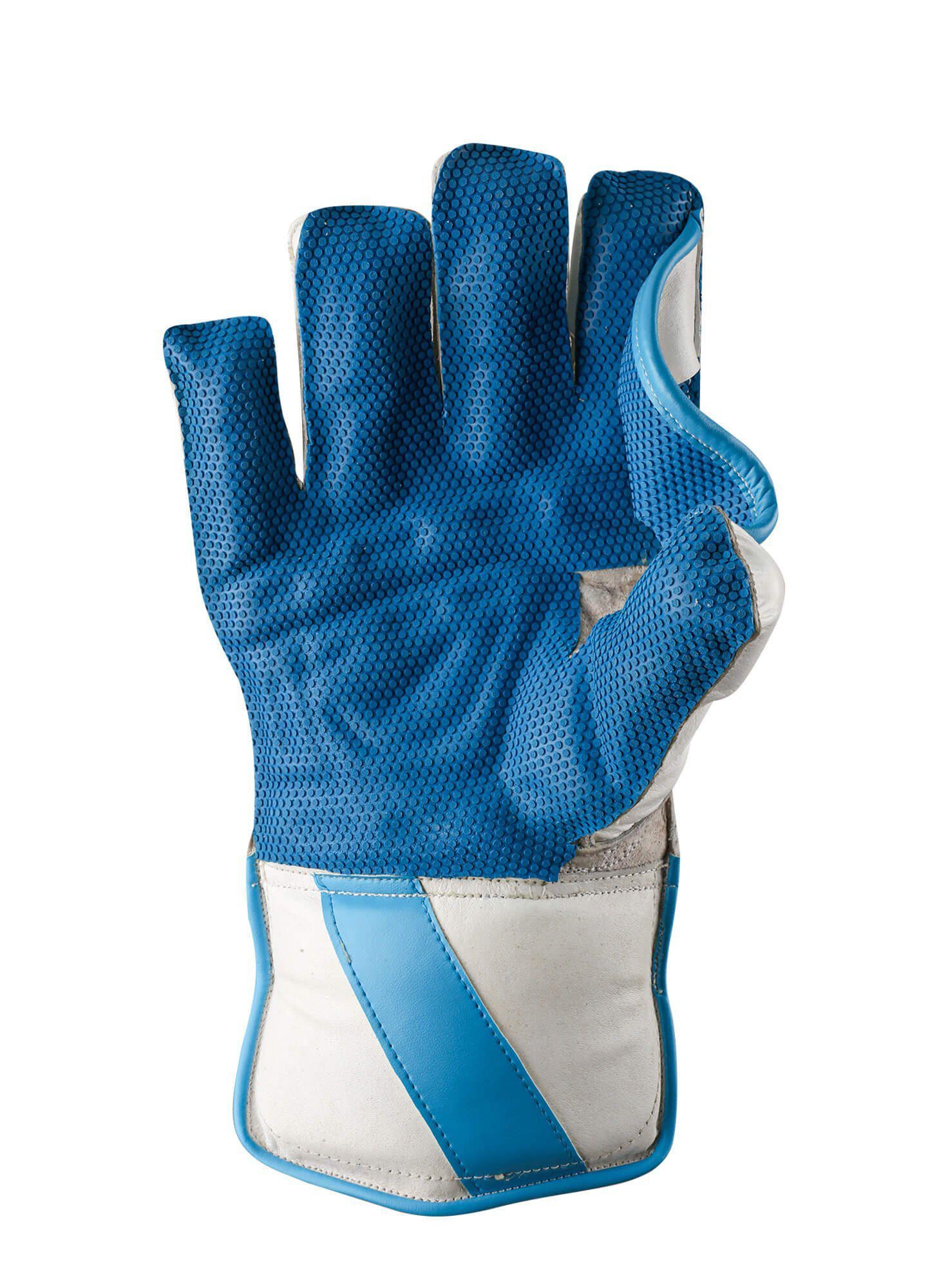 202009120531271648453223 CA PLUS 8000 WK GLOVES Dasports avenue Wicket Keeping