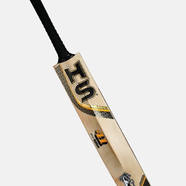 202103180552191548009181 HS 41 Pro Edition Dasports avenue Bats