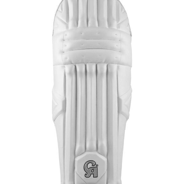 20210427114125619877363 CA DG DRAGON Dasports avenue Batting Equipment