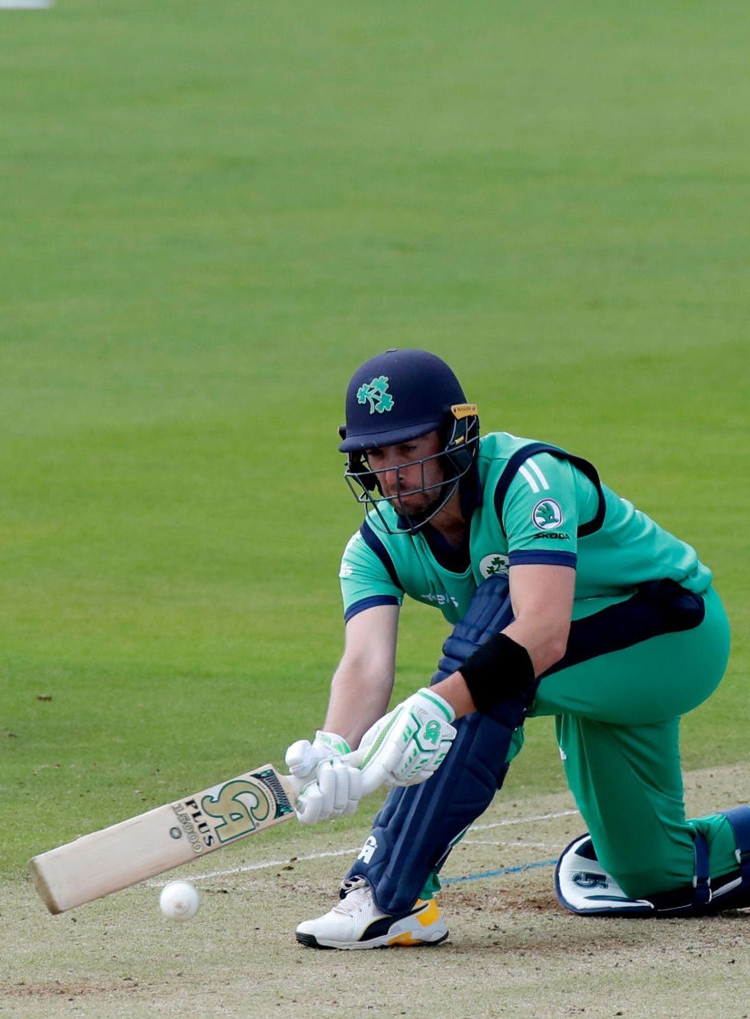 202107091015481798258910 CA PLUS 15000 Dasports avenue Bats