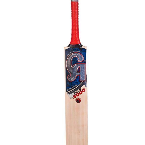 202202121923351515783305 CA PLUS 5000 Dasports avenue Bats