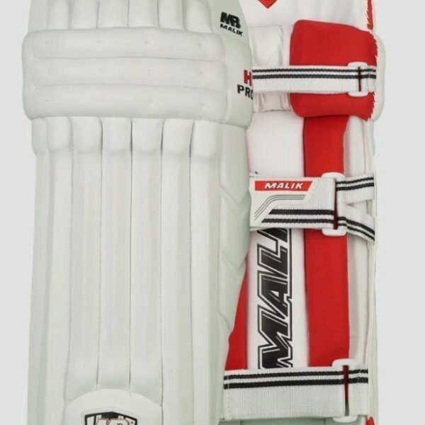 1673071046085 MB Malik Lala Cricket Gloves Dasports avenue Batting Equipment