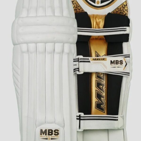 1673071046277 MB Malik Lala Cricket Gloves Dasports avenue Batting Equipment